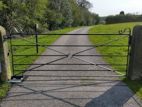 A light filed gate with a circle detail on a long tarmac driveway witch grass verges